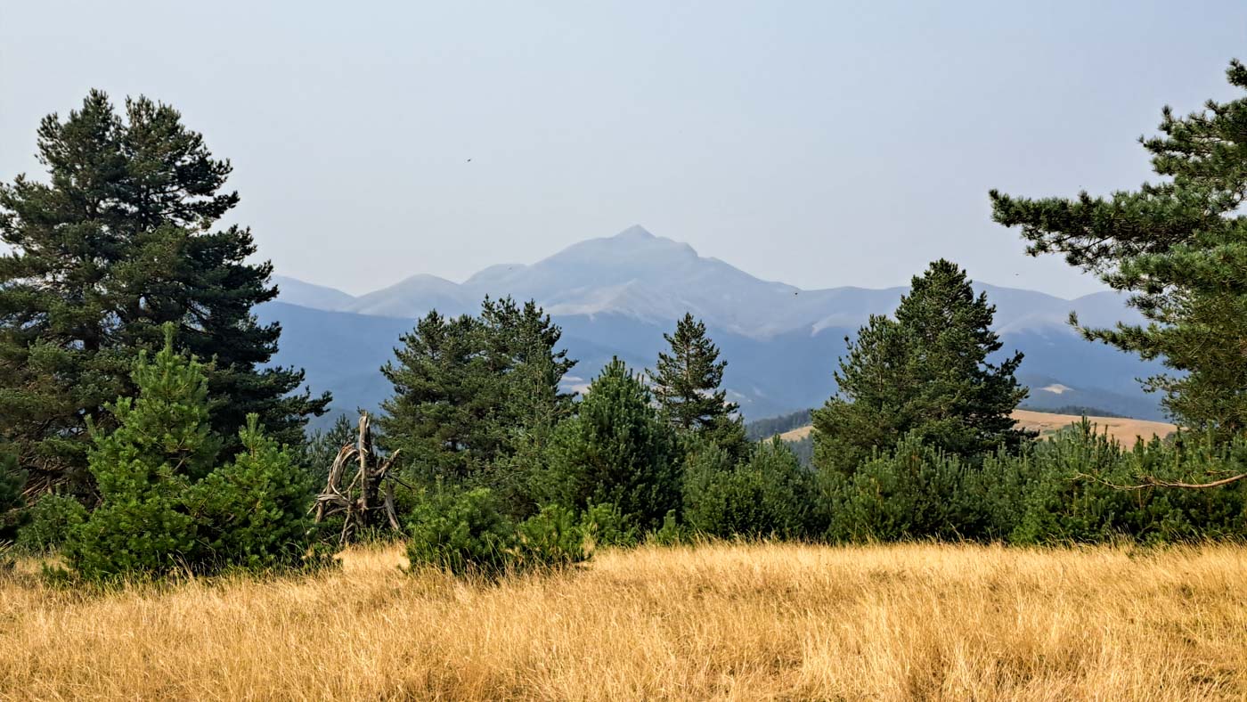 Etapa 38: Isaba - Ochagavía. Transpirenaica GR11. 3 Los picos del Pirineo más alto se van alejando