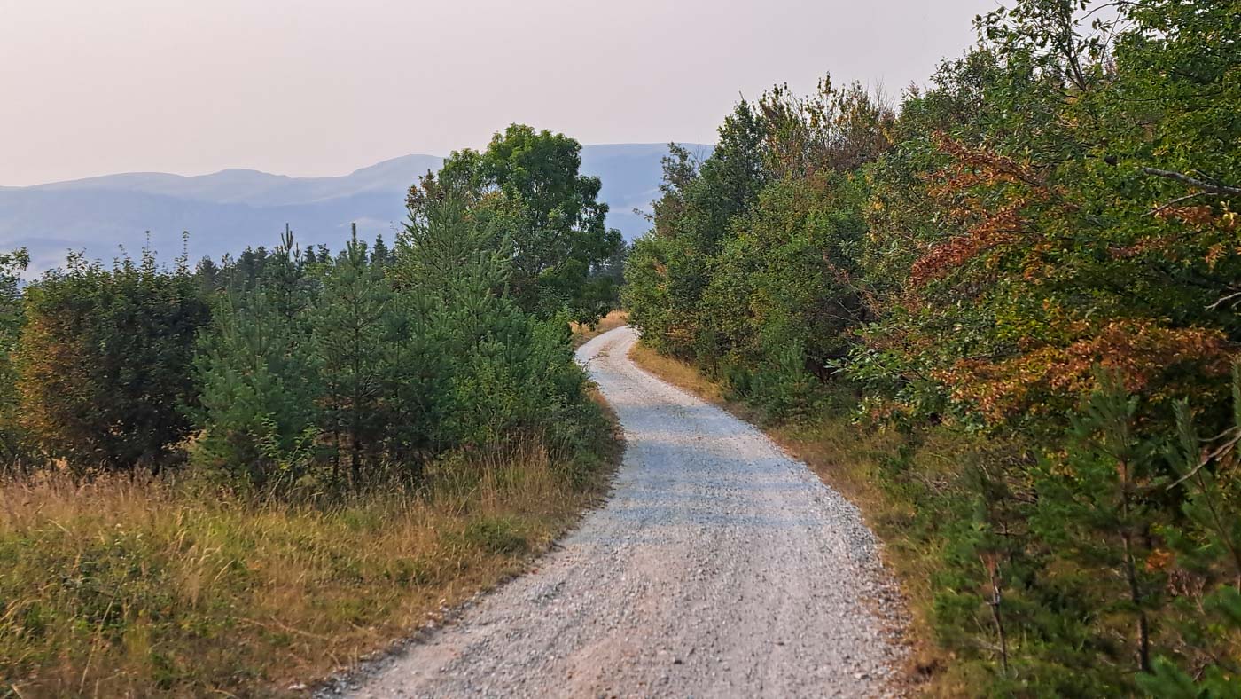 Etapas de la Transpirenaica GR11 en Navarra 2 Pista cómoda de bajada hacia Ochagavía