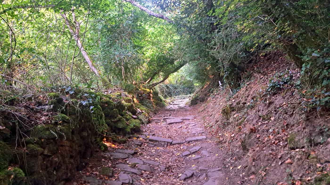 Etapa 38: Isaba - Ochagavía. Transpirenaica GR11. 2 Sendero hacia el Santuario de la virgen de Idoia