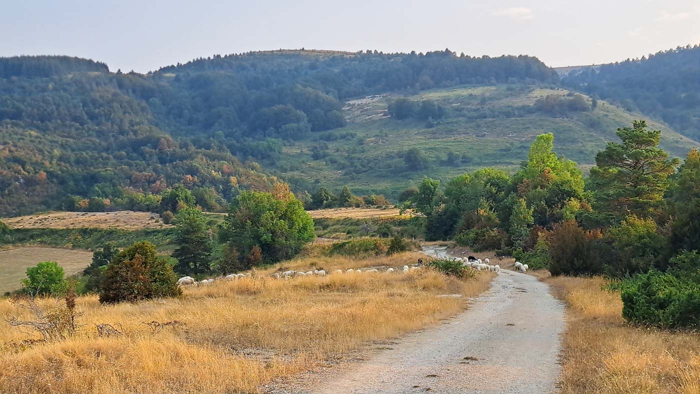 Etapa 39: Ochagavía - Hiriberri. Transpirenaica GR11. 2 Una cómoda pista nos recibe tras pasar el santuario de Muskilda