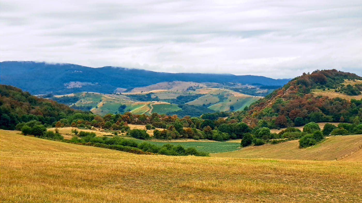 Etapa 40: Hiriberri - Auritz. Transpirenaica GR11. 4 Bordas en lo alto con Francia en el horizonte