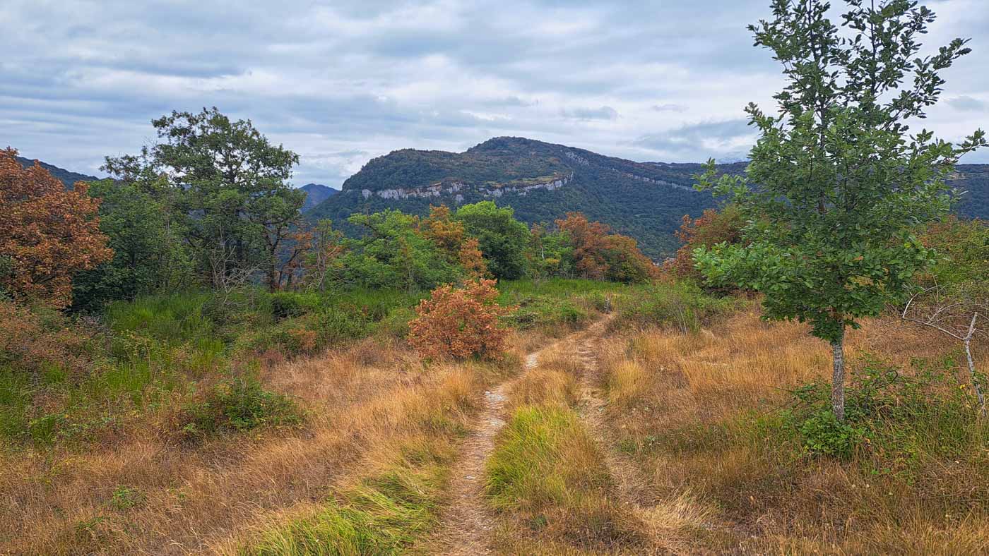 Etapa 40: Hiriberri - Auritz. Transpirenaica GR11. 2 El camino hacia Orbara está seco y otoñal