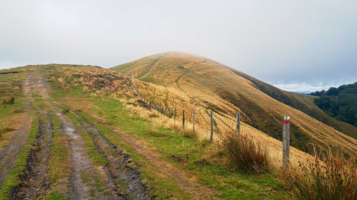 Etapa 41: Auritz - Cabaña de Azaldegi. Transpirenaica GR11. 3 Aparece la niebla en la subida al pico Txasperro