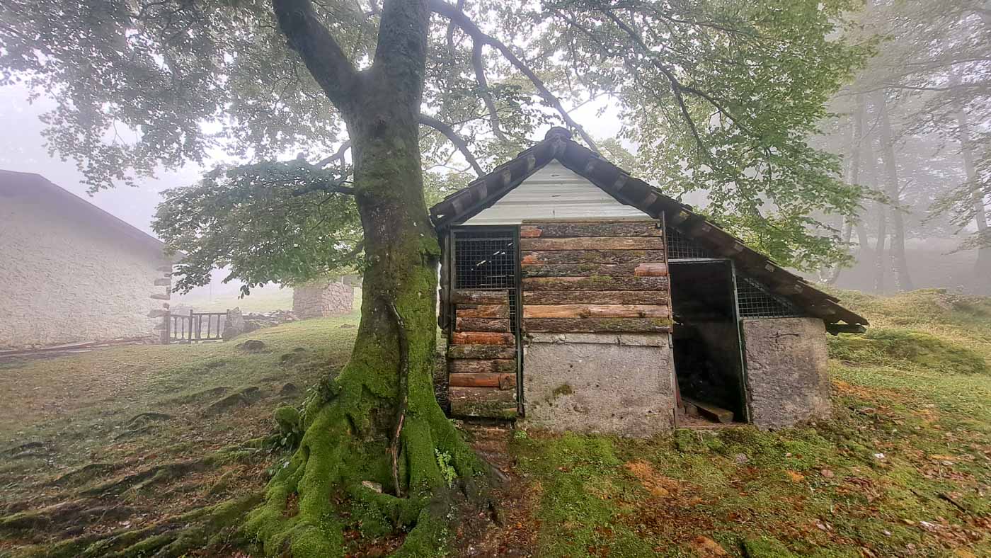 Etapa 41: Auritz - Cabaña de Azaldegi. Transpirenaica GR11. 7 Cabaña junto al refugio de cazadores de Azaldegi