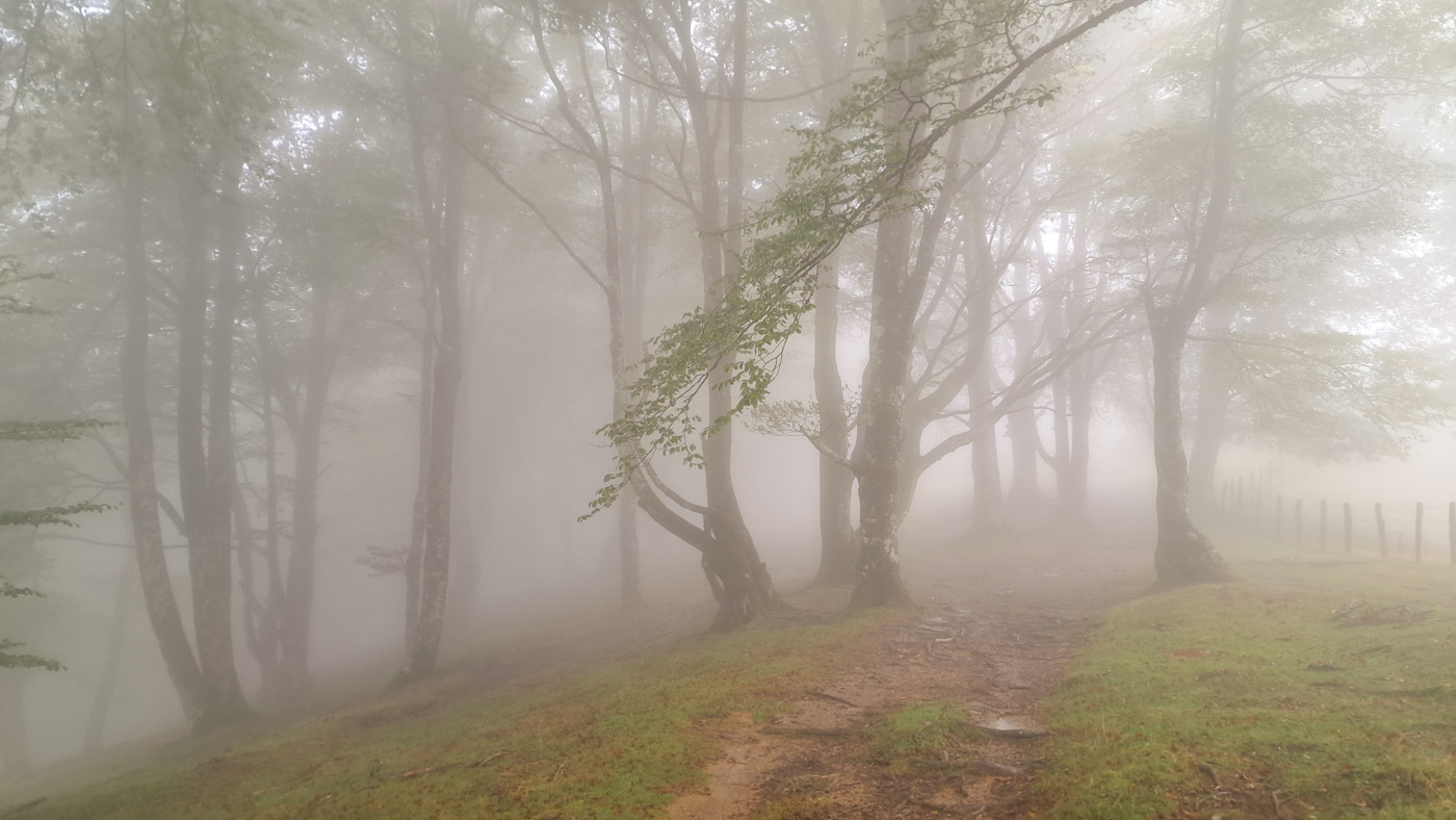 Etapa 42: Cabaña de Azaldegi - Elizondo. Transpirenaica GR11. 2 La niebla en los bosques es muy fotogénica