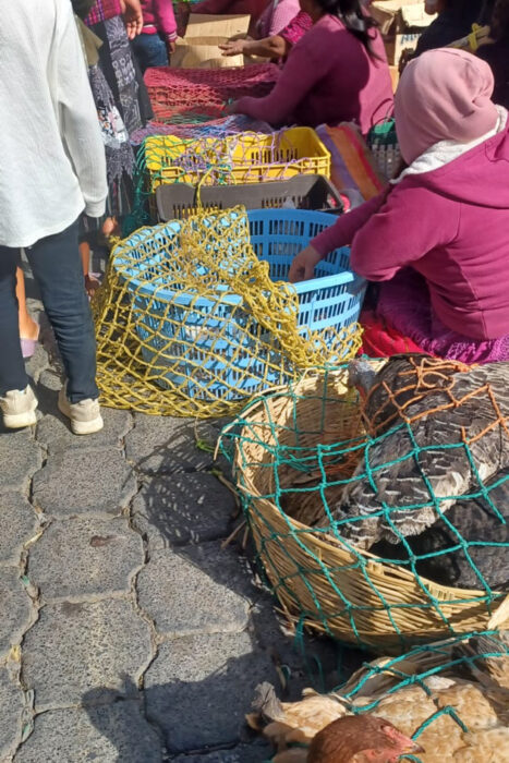 Guatemala. Con los hijos del maíz. 13 Venta de animales vivos