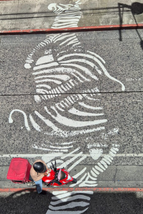 Guatemala. Con los hijos del maíz. 9 Los pasos de cebra en Guatemala.