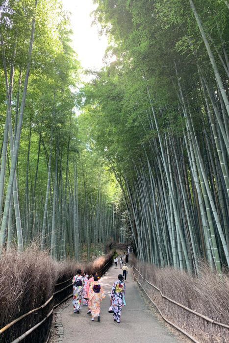 Japón contra el turismo de masas: ¿es 2026 un buen momento para visitar la tierra del Sol Naciente? 3 Bosque de bambúes de Arashiyama, uno de los paseos más visitados en Kioto