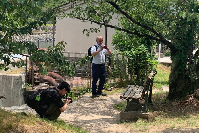 Japón contra el turismo de masas: ¿es 2026 un buen momento para visitar la tierra del Sol Naciente? 7 Turistas chinos en torno a un banco en Uji, cerca de Kioto