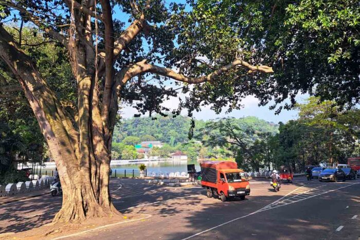 Kandy, la última soberana de las montañas 6 Calle en el centro de Kandy