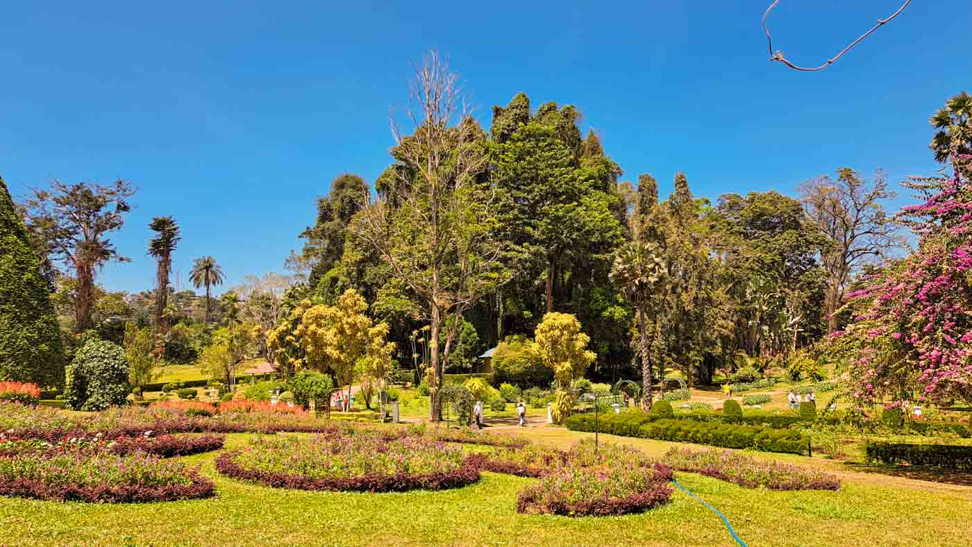 Kandy, la última soberana de las montañas 19 Jardín botánico de Kandy en Peradeniya