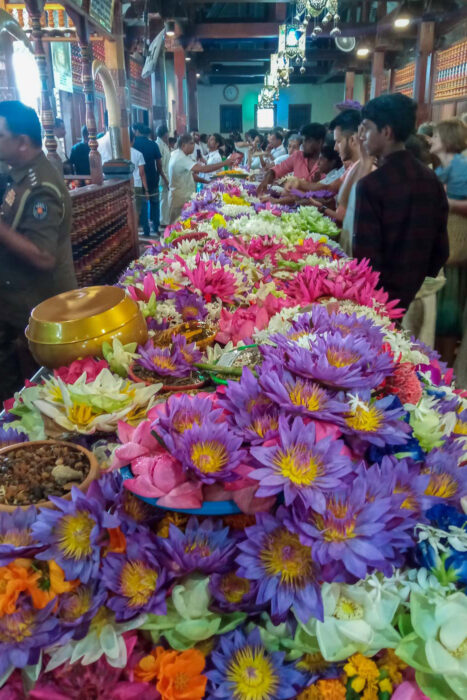 Kandy, la última soberana de las montañas 12 Ofrendas en el Templo del Diente de Kandy