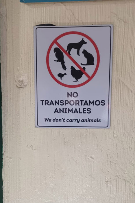 Con los hijos del maíz. Livingston. Territorio garífuna. 21 No transportamos animales
