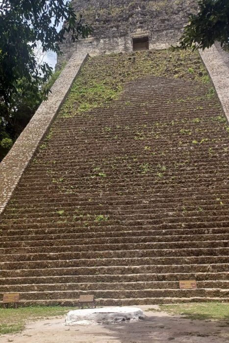 Con los hijos del maíz. En Tikal, Ciudad de Voces 7 Tikal subida al templo