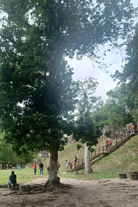 Con los hijos del maíz. En Tikal, Ciudad de Voces 9 Escaleras para subir a los templos