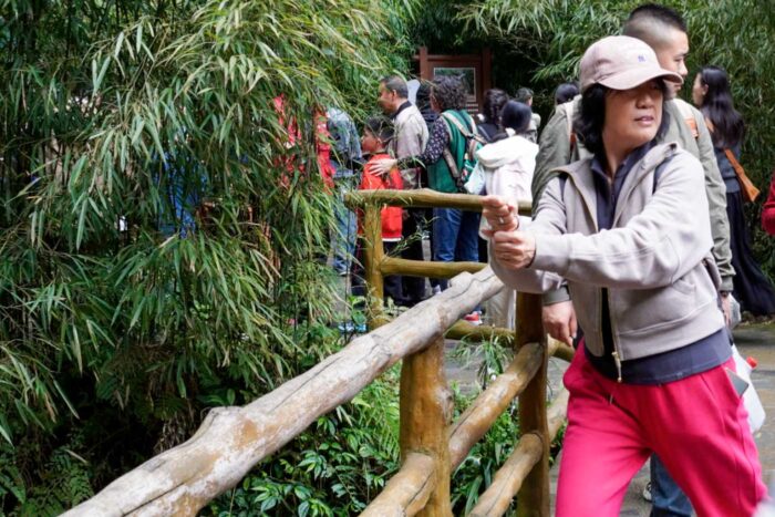 Cantando en el bus entre aceites picantes: así fue mi tour chino organizado 20 turistas chinos haciéndose fotos