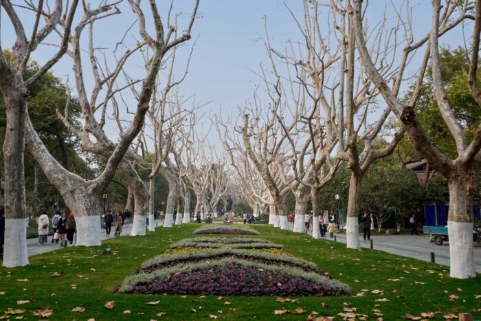 Hangzhou, la 'desconocida' ciudad china de la calidad de vida 94 Parque Hangzhou