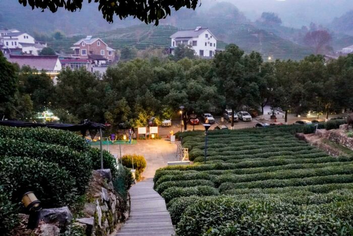 Hangzhou, la 'desconocida' ciudad china de la calidad de vida 105 Té en Longjing China
