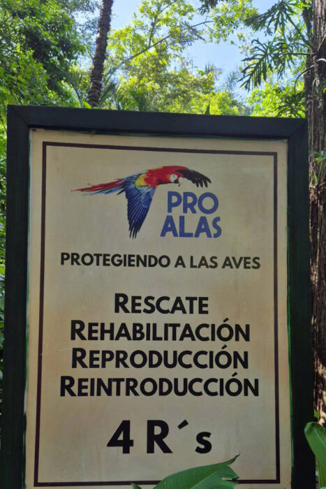 Con los hijos del maíz. En Copán Ruinas, entre catrachos (gentilicio de los hondureños) 31 Pro Alas