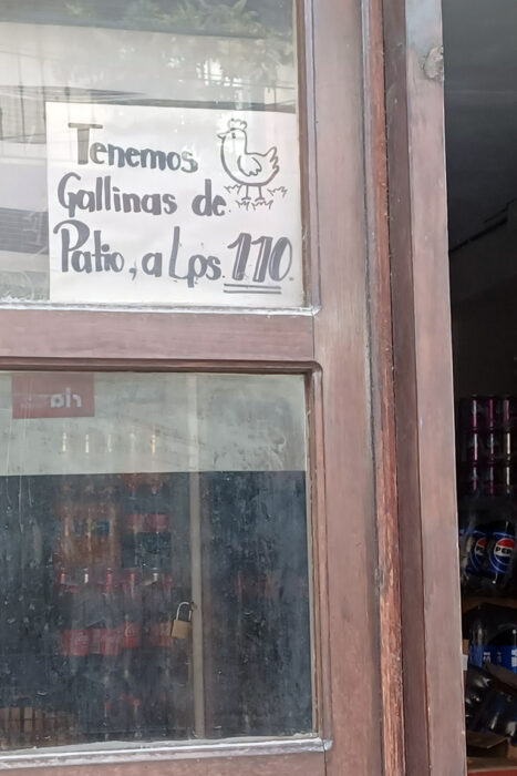 Con los hijos del maíz. En Copán Ruinas, entre catrachos (gentilicio de los hondureños) 12 Venta de gallinas