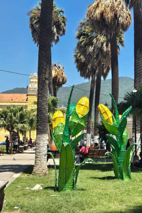 Con los hijos del maíz. Si miras y solo ves barroco, estás en la Antigua 18 Somos hombres de maíz