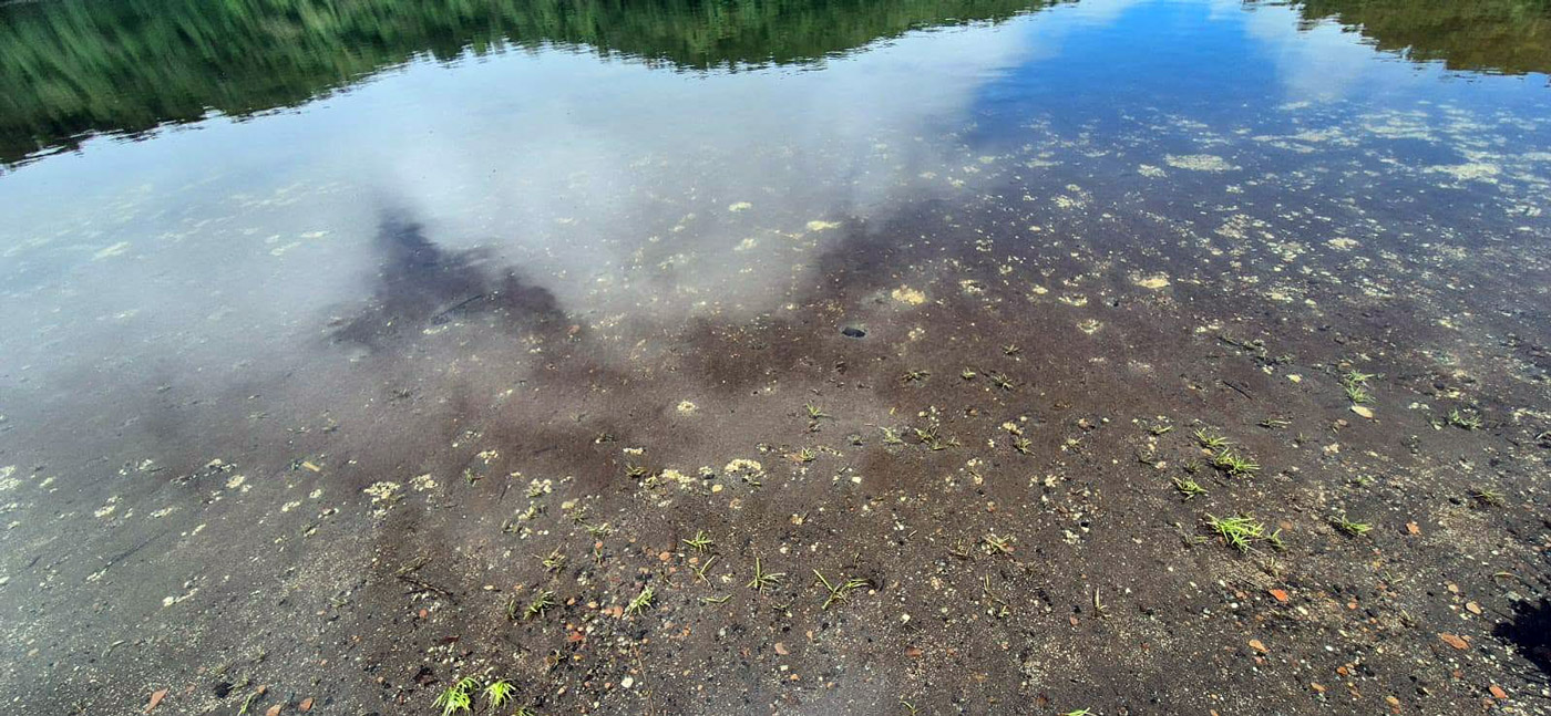 Con los hijos del maíz. A la laguna de Chikabal con el Torito 20 Chikabal agua