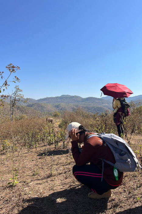 Kindred Spirit, santuario de elefantes recomendado en Chiang Mai 7 Los mahouts nos acompañan en los avistamientos