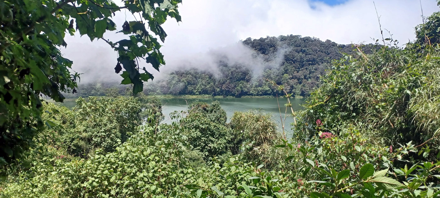 Con los hijos del maíz. A la laguna de Chikabal con el Torito 7 El bosque y la laguna