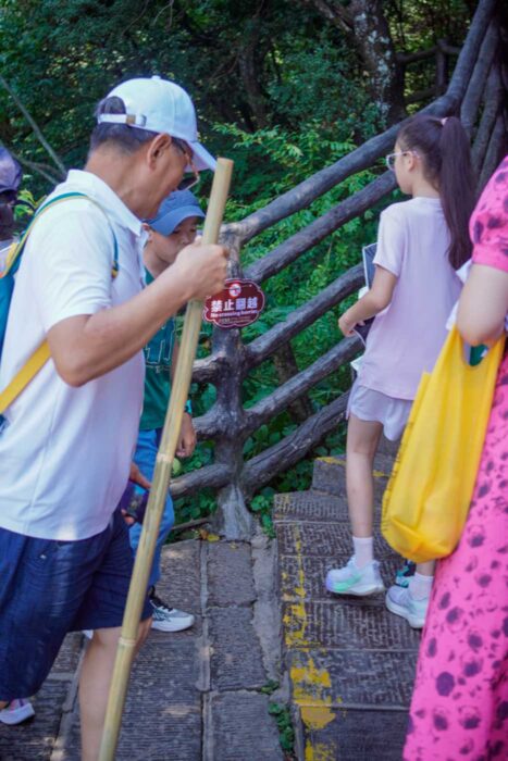 Zhangjiajie, ¿turismo de jubilados en las montañas de Avatar? 14 bastón montaña china