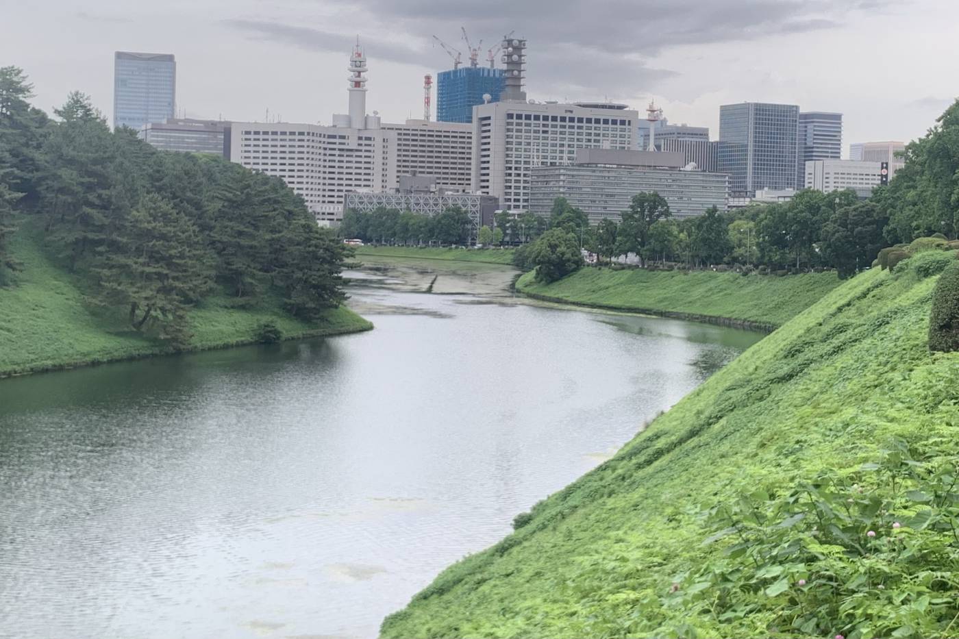 El Palacio Imperial de Tokio como nunca lo has visto -ni te lo han contado- 167 Vista desde los fosos de la puerta de Hanzomon