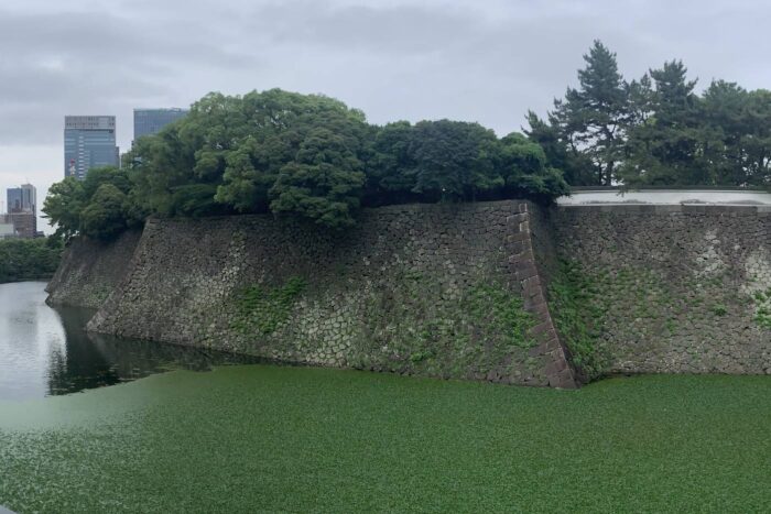 Castillo de Edo: la fortaleza samurái que perdió su torre y ganó un emperador 98 Panorámica de las murallas del castillo