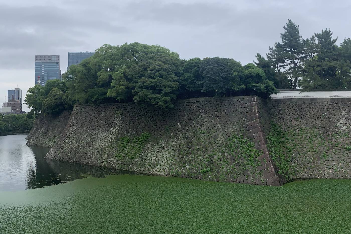 El Palacio Imperial de Tokio como nunca lo has visto -ni te lo han contado- 169 Panorámica del foso y las murallas a la altura de Chidorigafuchi