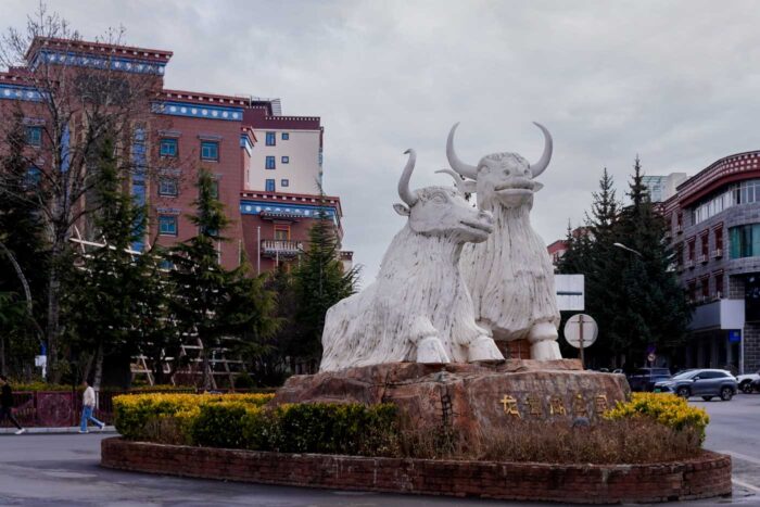 Shangri-La, un viaje a la puerta del Tíbet en China 4 Yak China