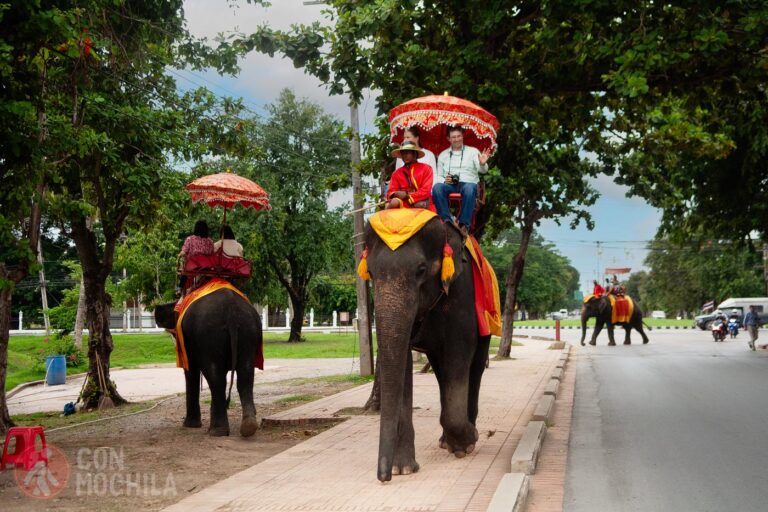 A classical animal abuse in Thailand