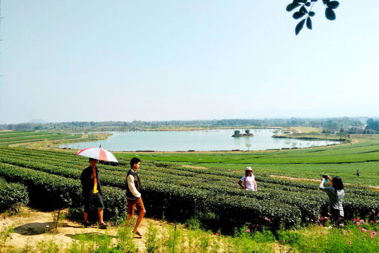 Chiang Rai's nature