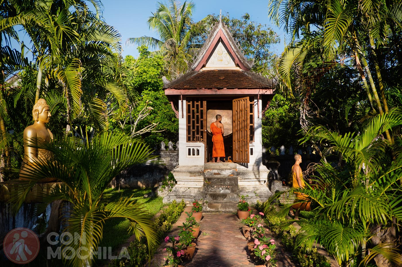 Monkes in Luang Prabang