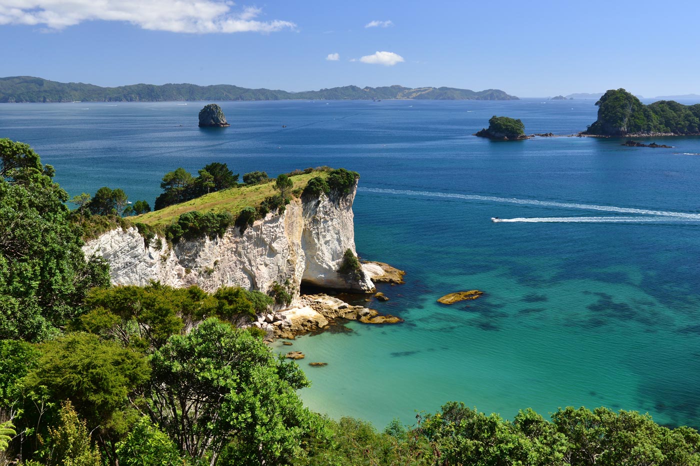 Coromandel