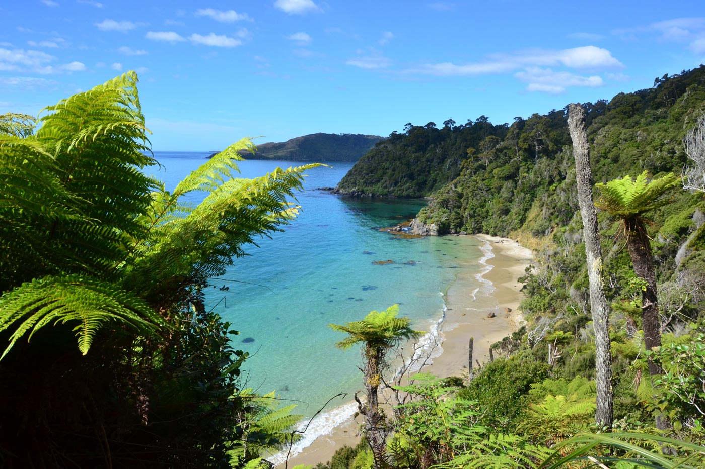 Stewart Island