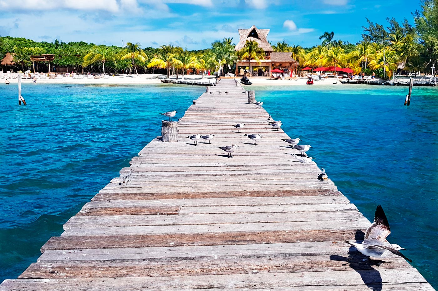 Just a few swims from Cancun, Isla Mujeres offers beautiful beaches to the north and jungle to the south.