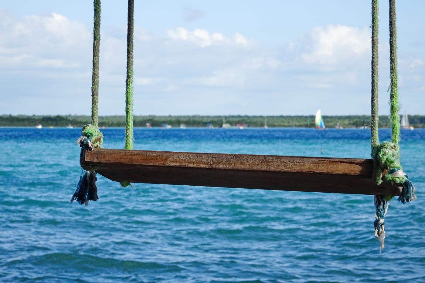 Mahahual, far south of the Riviera Maya, is a diving destination, and its neighbor Punta Allen is pure Caribbean jungle and dreamy corals.