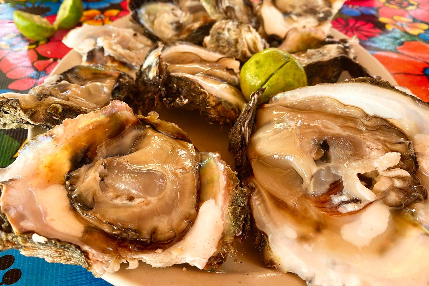 Tamaulipas is so authentic that it deserves a few days, and you will find few tourists but very rich seafood, especially its oysters.