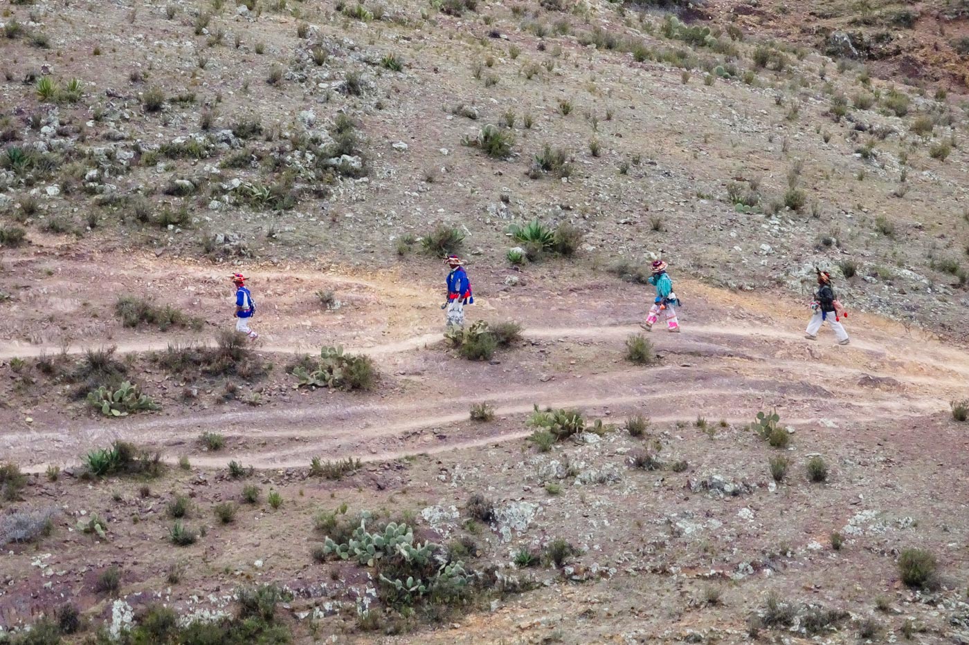 The central plateau covers several states. There we can see the Huichol Indians on pilgrimage to their sacred places.