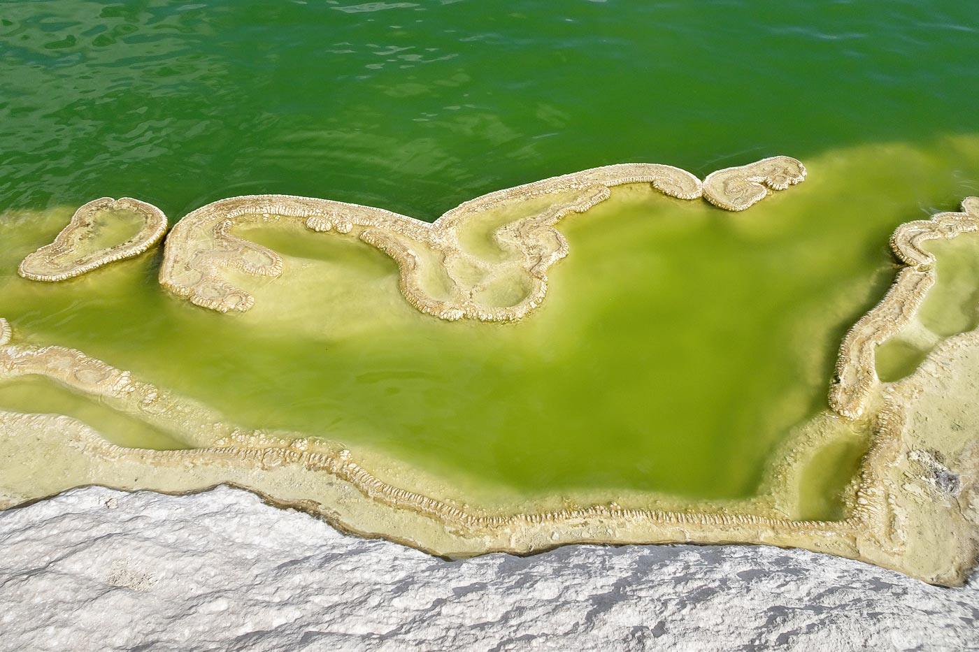 The water boils and carves the pools, its waterfalls hang from the cliffs, petrified by time.