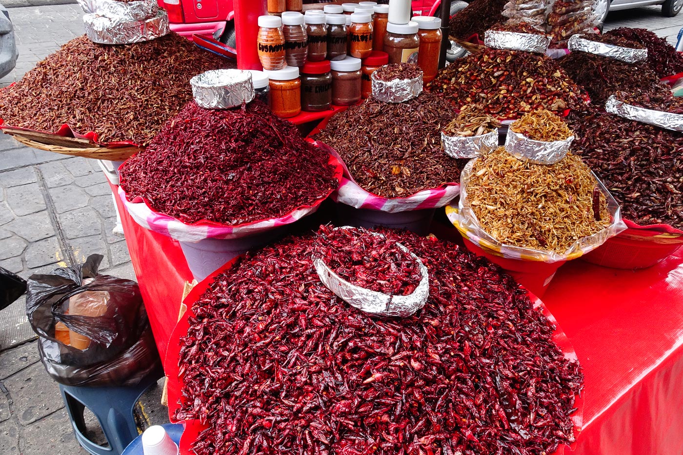Mexico cannot be understood without its markets, where life takes place, and being the basis of its gastronomy. In this guide we will visit many.