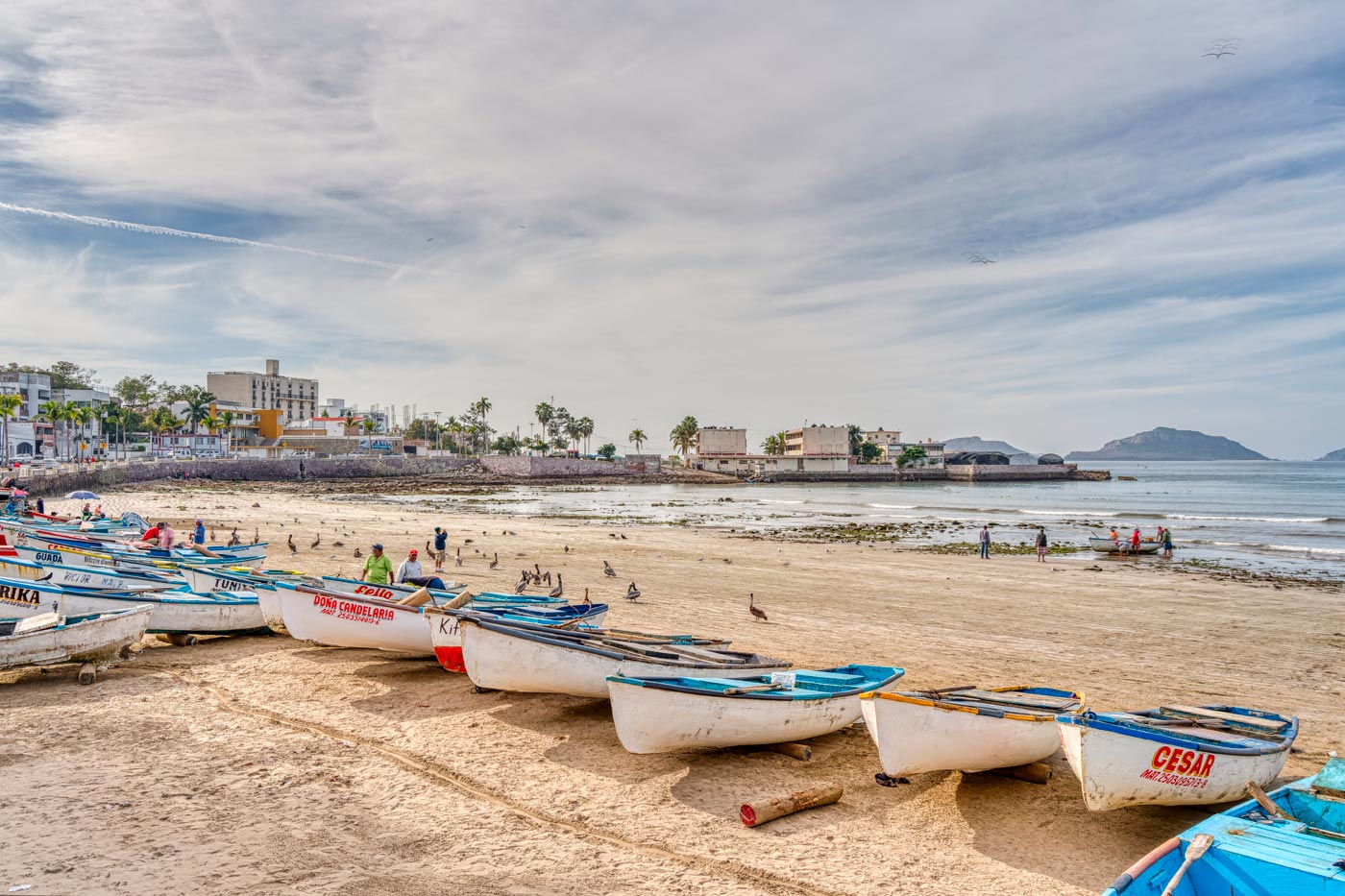 Sinaloa is the safest state in Mexico because no one dares to touch the established status quo. A subtropical jungle beauty and a rich gastronomy with its greatest exponent in Mazatlán.