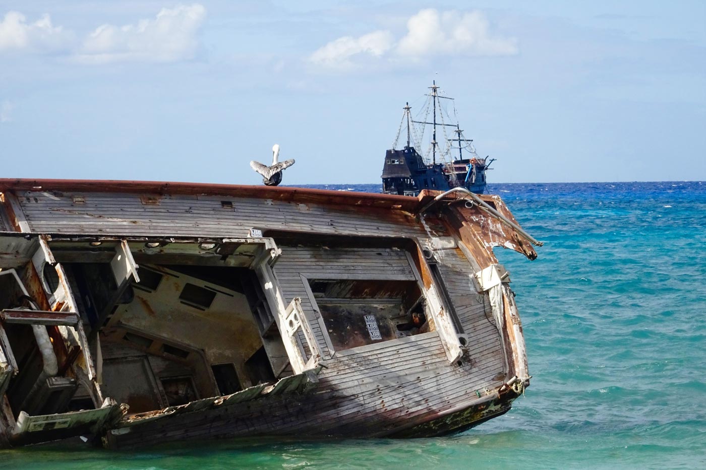 The best preserved island in all of Mexico, the beautiful and wild Cozumel, with its seafood, its motorcycle tour and its coral reef.
