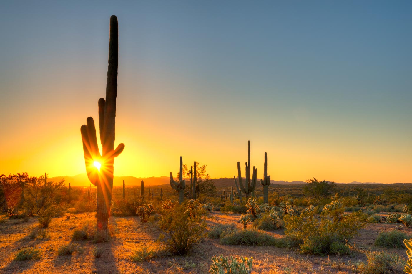 Sonora is home to the most inspiring deserts, dunes and mountains that flow into the Sea of ​​Cortez.
