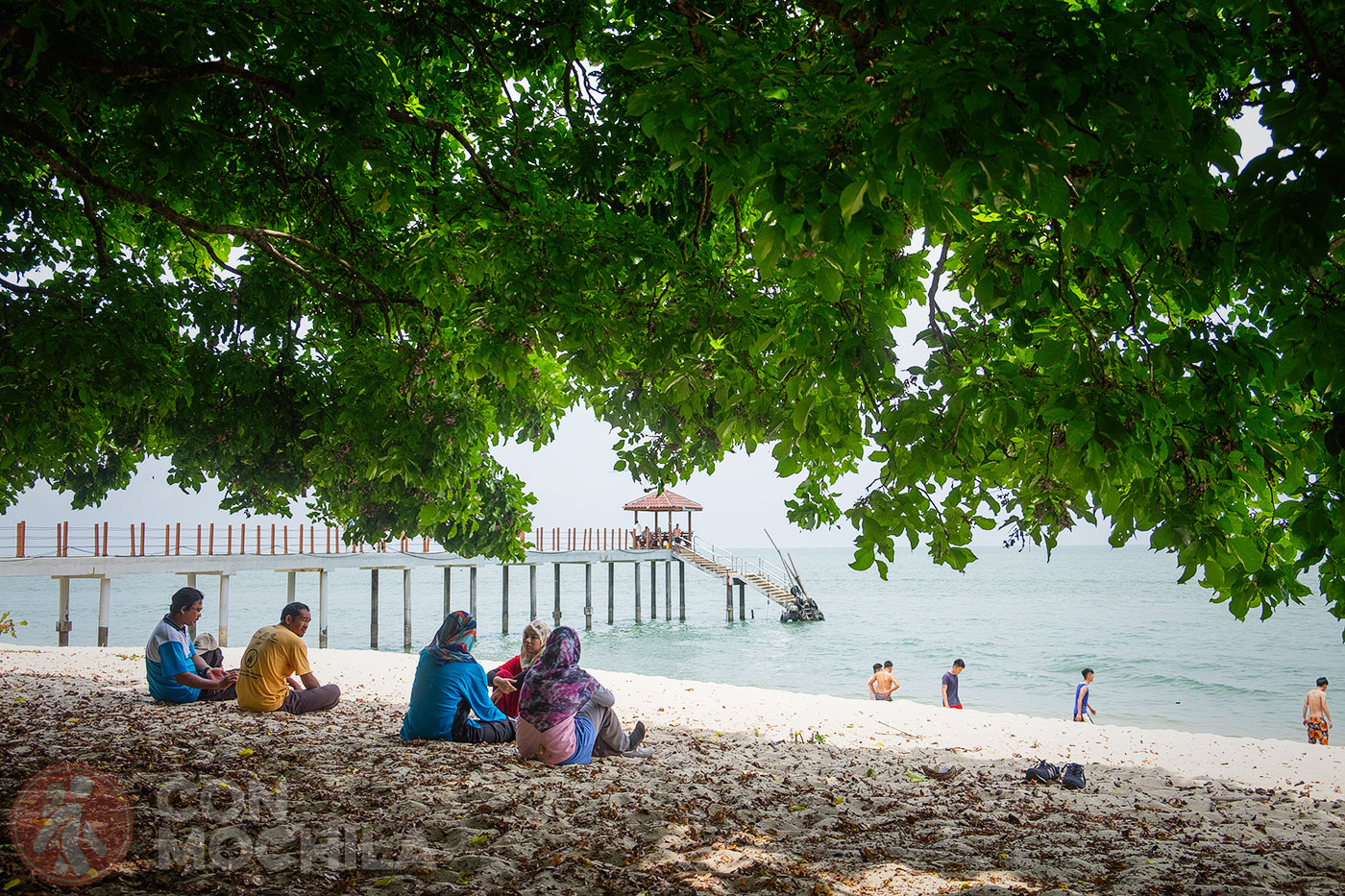 Monkey Beach