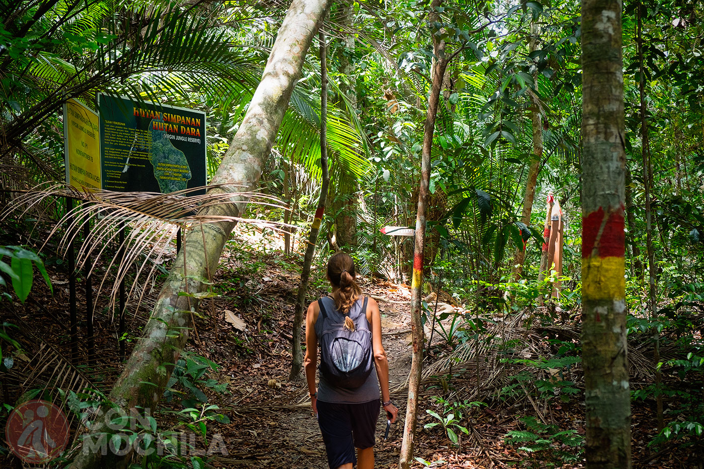 Penang National Park