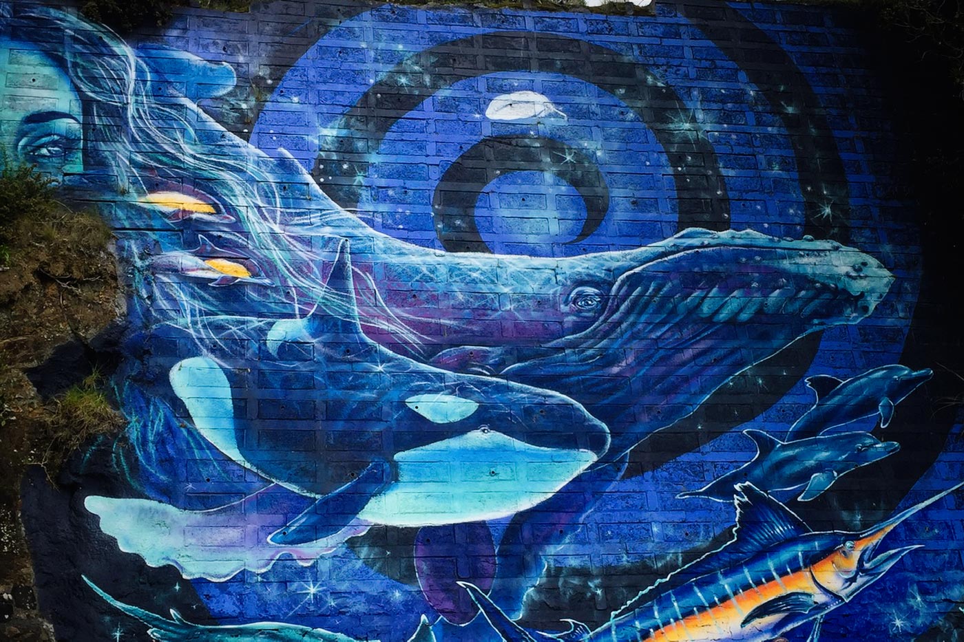 Mural on Paihia Beach